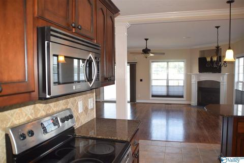 171 Willow Point Dr, Ohatchee, AL 36271 photo 12