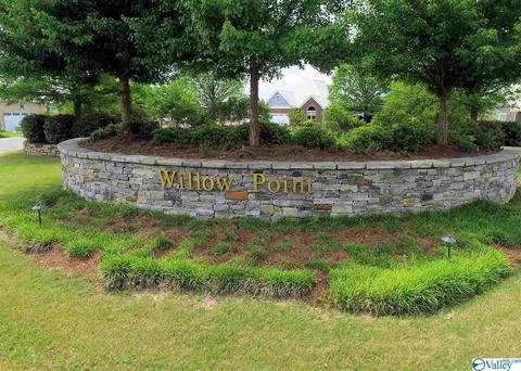 171 Willow Point Dr, Ohatchee, AL 36271 photo 50