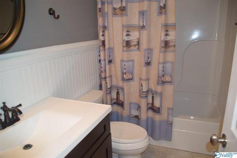 171 Willow Point Dr, Ohatchee, AL 36271 photo 26
