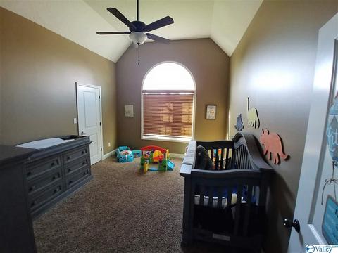141 Willow Point Dr, Ohatchee, AL 36271 photo 11
