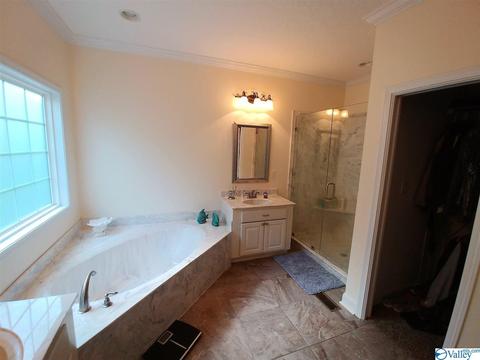141 Willow Point Dr, Ohatchee, AL 36271 photo 10