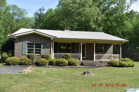 4772 Pope Ave, Steele, AL 35987 photo 1
