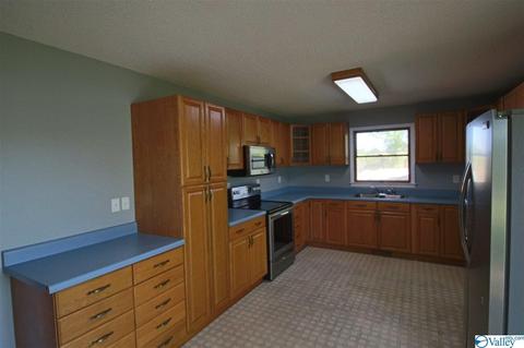 3669 Simpson Point Rd, Grant, AL 35747 photo 9