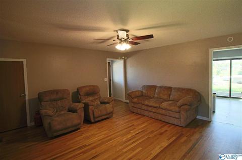 3669 Simpson Point Rd, Grant, AL 35747 photo 5