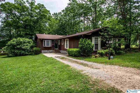 5341 Cathy St, Cedar Bluff, AL 35959 photo 1