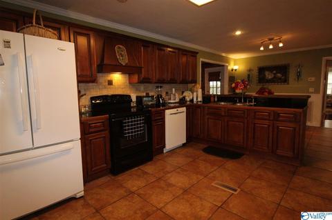 214 NE 7th Ave, Arab, AL 35016 photo 5