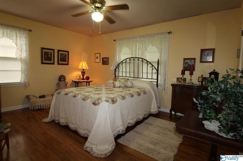 214 NE 7th Ave, Arab, AL 35016 photo 19