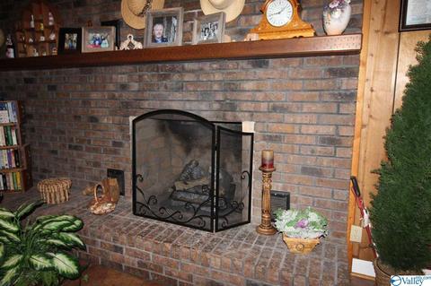 214 NE 7th Ave, Arab, AL 35016 photo 11