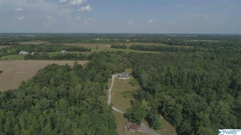15344 Wright Rd, Athens, AL 35611 photo 41