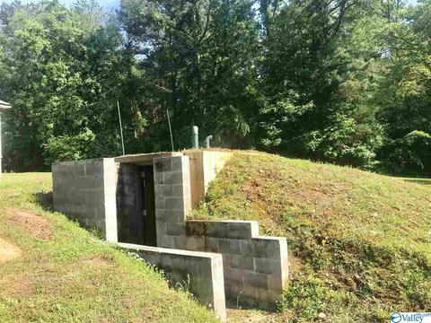 15344 Wright Rd, Athens, AL 35611 photo 46