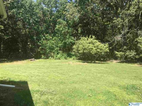 75 Freedom Ln, Centre, AL 35960 photo 15