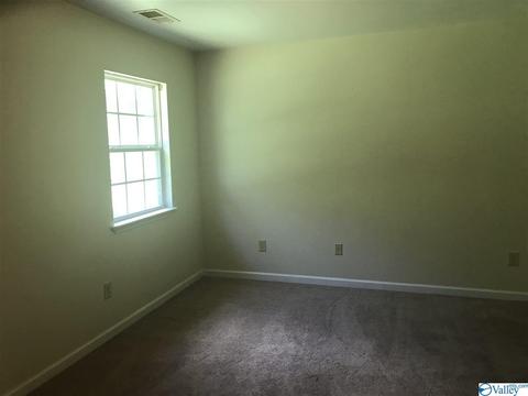 75 Freedom Ln, Centre, AL 35960 photo 9