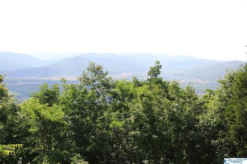262 Cloud Base Rd, Gurley, AL 35748 photo 19