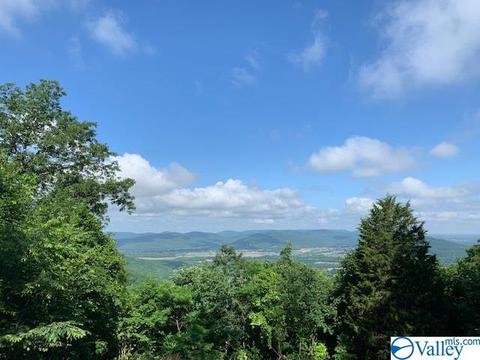 262 Cloud Base Rd, Gurley, AL 35748 photo 2