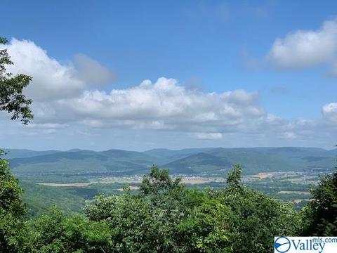 262 Cloud Base Rd, Gurley, AL 35748 photo 3