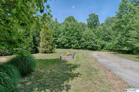 262 Cloud Base Rd, Gurley, AL 35748 photo 20