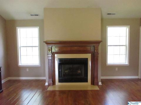 170 County Road 358, Trinity, AL 35673 photo 10