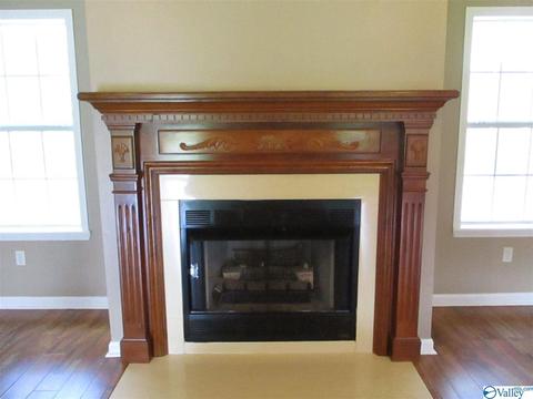 170 County Road 358, Trinity, AL 35673 photo 9