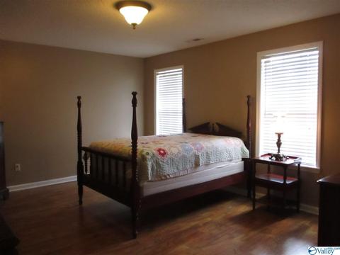 170 County Road 358, Trinity, AL 35673 photo 11
