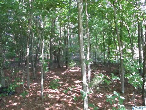 170 County Road 358, Trinity, AL 35673 photo 23