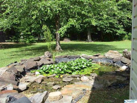 170 County Road 358, Trinity, AL 35673 photo 28