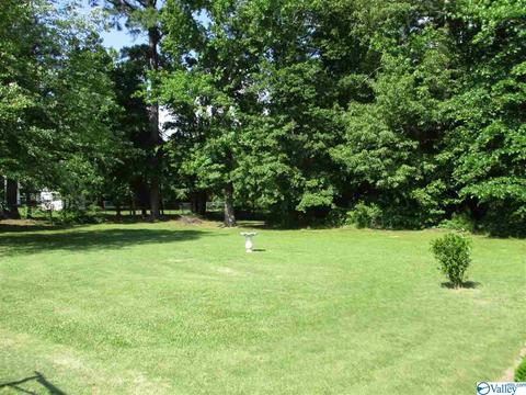 170 County Road 358, Trinity, AL 35673 photo 20