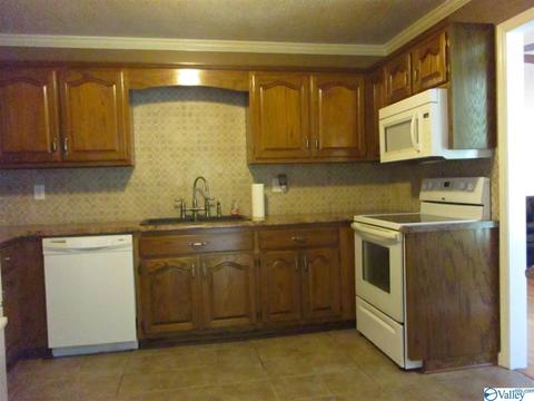 170 County Road 358, Trinity, AL 35673 photo 14