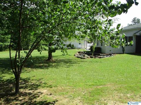 170 County Road 358, Trinity, AL 35673 photo 21