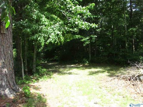 170 County Road 358, Trinity, AL 35673 photo 26