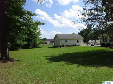 170 County Road 358, Trinity, AL 35673 photo 27