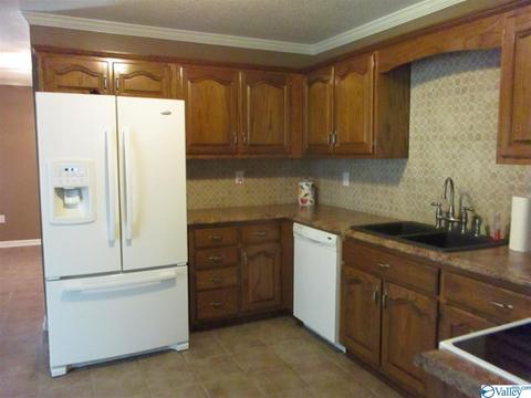 170 County Road 358, Trinity, AL 35673 photo 15