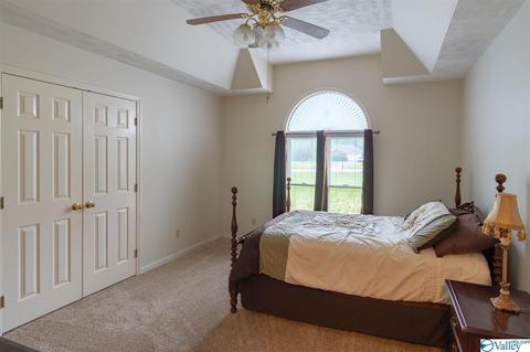 7928 County Road 221, Trinity, AL 35673 photo 22