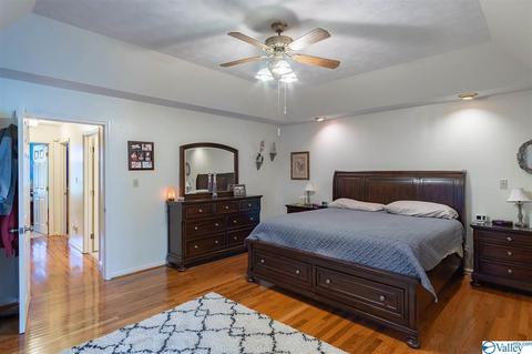 7928 County Road 221, Trinity, AL 35673 photo 29