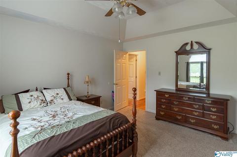 7928 County Road 221, Trinity, AL 35673 photo 23