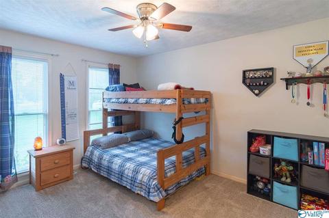 7928 County Road 221, Trinity, AL 35673 photo 24