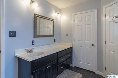 7928 County Road 221, Trinity, AL 35673 photo 31