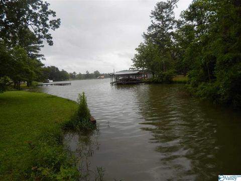 5380 Cathy St, Cedar Bluff, AL 35959 photo 27