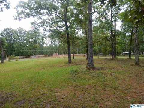 5380 Cathy St, Cedar Bluff, AL 35959 photo 10