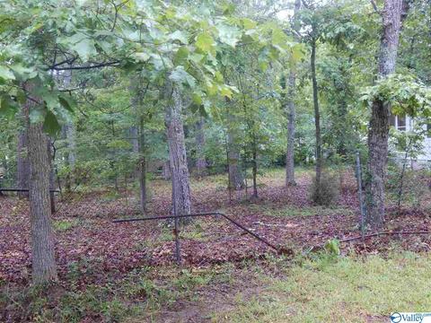 5380 Cathy St, Cedar Bluff, AL 35959 photo 8