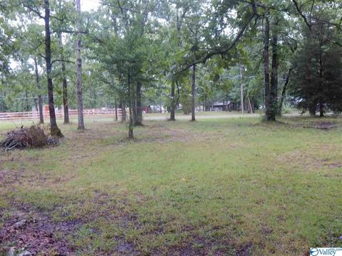 5380 Cathy St, Cedar Bluff, AL 35959 photo 9