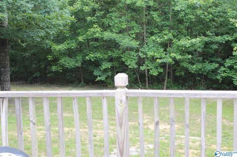 418 Range Rd, Gurley, AL 35748 photo 21