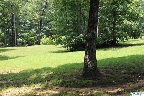 418 Range Rd, Gurley, AL 35748 photo 24