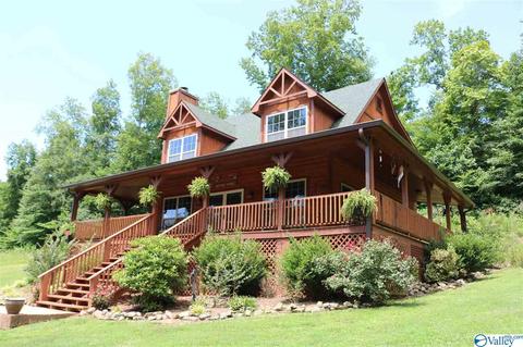 5473 County Road 4, Hollytree, AL 35751 photo 15