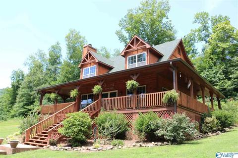5473 County Road 4, Hollytree, AL 35751 photo 1