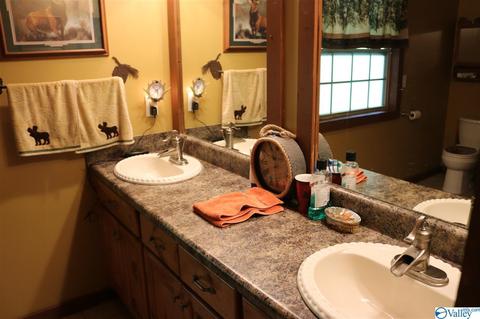 5473 County Road 4, Hollytree, AL 35751 photo 9