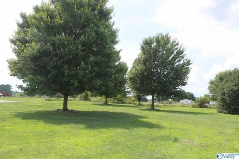 360 County Road 18, Dutton, AL 35744 photo 38