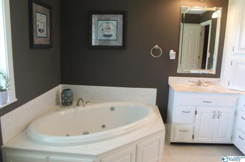 360 County Road 18, Dutton, AL 35744 photo 29