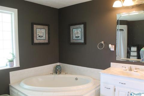 360 County Road 18, Dutton, AL 35744 photo 26