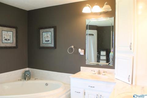 360 County Road 18, Dutton, AL 35744 photo 27