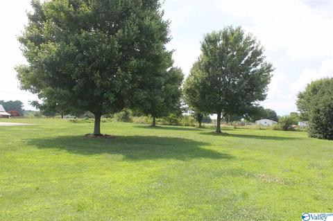 360 County Road 18, Dutton, AL 35744 photo 37